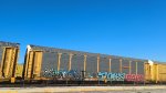 BNSF 26579 (Body) TTGX 973477 (Flat)
